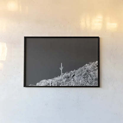 King of the Mountain by Nathan Larson. shown as a paper print in a black flame. Available as a archival giclee rolled canvas, fine art paper, or poster print. SKU 90442i.