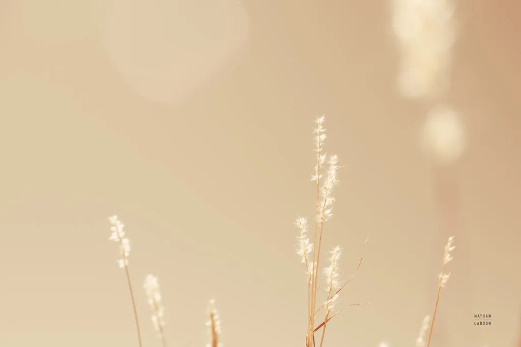 Lakeside Grasses I by Nathan Larson. SKU 76208i. Archival Giclee Fine art print for wall decor.