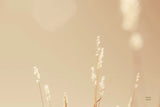 Lakeside Grasses I by Nathan Larson. SKU 76208i. Archival Giclee Fine art print for wall decor.