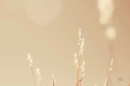 Lakeside Grasses I by Nathan Larson. SKU 76208i. Archival Giclee Fine art print for wall decor.