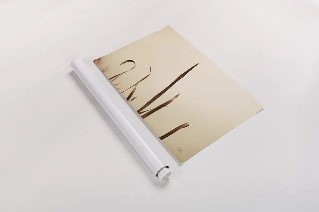 Lakeside Grasses II by Nathan Larson. shown as a rolled paper print. Available as archival giclee rolled canvas, fine art paper, or poster print. SKU 76209i.