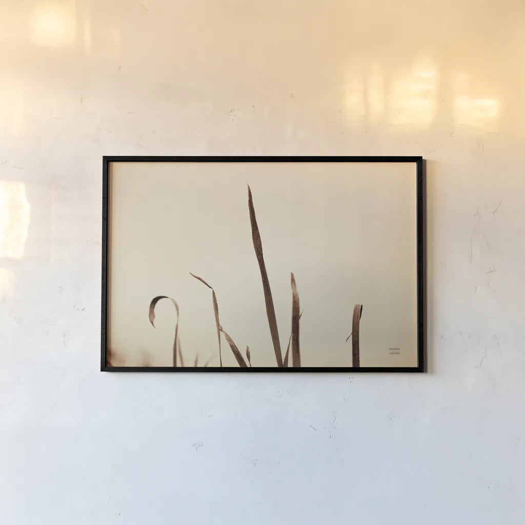 Lakeside Grasses II by Nathan Larson. shown as a paper print in a black flame. Available as a archival giclee rolled canvas, fine art paper, or poster print. SKU 76209i.