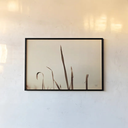 Lakeside Grasses II by Nathan Larson. shown as a paper print in a black flame. Available as a archival giclee rolled canvas, fine art paper, or poster print. SKU 76209i.