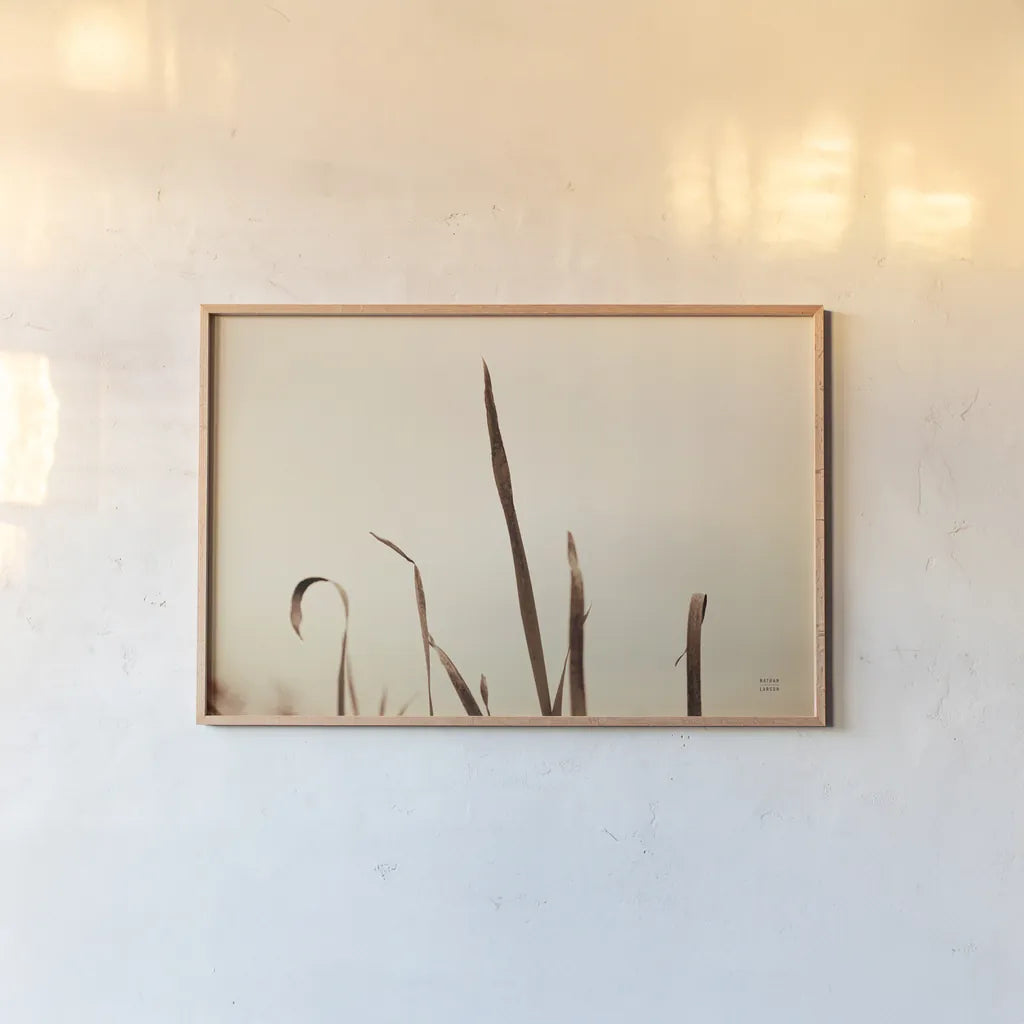 Lakeside Grasses II by Nathan Larson. shown as a paper print in a natural frame. Available as a archival giclee rolled canvas, fine art paper, or poster print. SKU 76209i.