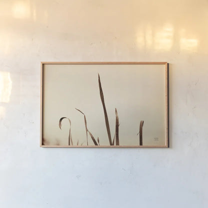 Lakeside Grasses II by Nathan Larson. shown as a paper print in a natural frame. Available as a archival giclee rolled canvas, fine art paper, or poster print. SKU 76209i.