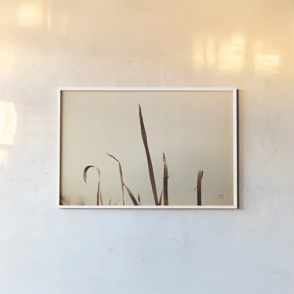 Lakeside Grasses II by Nathan Larson. shown as a paper print in a white frame. Available as a archival giclee rolled canvas, fine art paper, or poster print. SKU 76209i.
