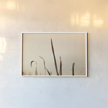 Lakeside Grasses II by Nathan Larson. shown as a paper print in a white frame. Available as a archival giclee rolled canvas, fine art paper, or poster print. SKU 76209i.