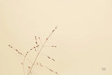 Lakeside Grasses III by Nathan Larson. SKU 76210i. Archival Giclee Fine art print for wall decor.