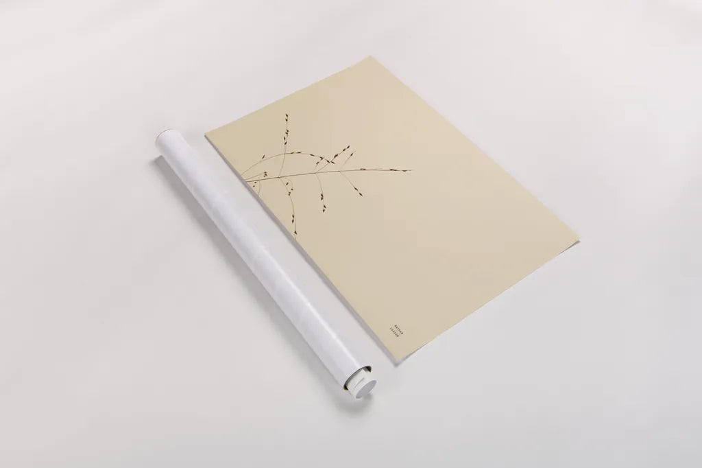 Lakeside Grasses III by Nathan Larson. shown as a rolled paper print. Available as archival giclee rolled canvas, fine art paper, or poster print. SKU 76210i.