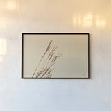Lakeside Grasses IV by Nathan Larson. shown as a paper print in a black flame. Available as a archival giclee rolled canvas, fine art paper, or poster print. SKU 76211i.