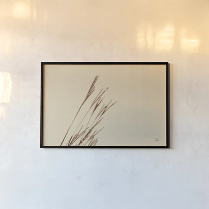 Lakeside Grasses IV by Nathan Larson. shown as a paper print in a black flame. Available as a archival giclee rolled canvas, fine art paper, or poster print. SKU 76211i.