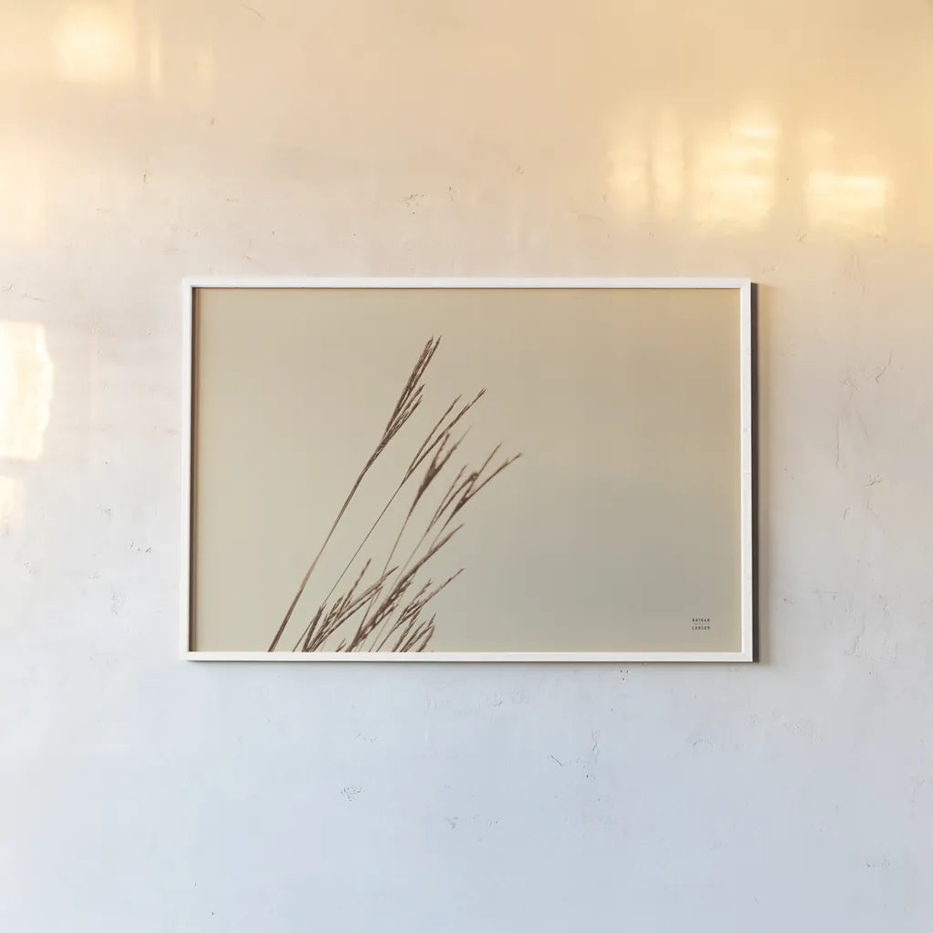 Lakeside Grasses IV by Nathan Larson. shown as a paper print in a white frame. Available as a archival giclee rolled canvas, fine art paper, or poster print. SKU 76211i.