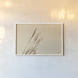 Lakeside Grasses IV by Nathan Larson. shown as a paper print in a white frame. Available as a archival giclee rolled canvas, fine art paper, or poster print. SKU 76211i.