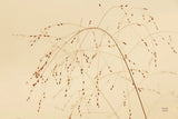 Lakeside Grasses V by Nathan Larson. SKU 76212i. Archival Giclee Fine art print for wall decor.