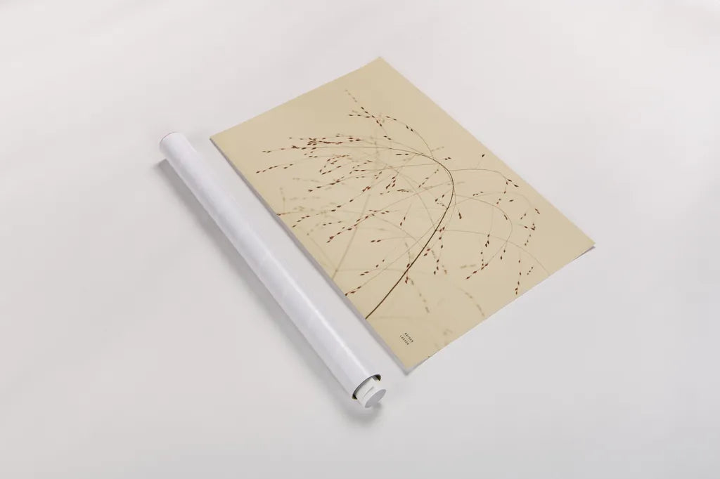 Lakeside Grasses V by Nathan Larson. shown as a rolled paper print. Available as archival giclee rolled canvas, fine art paper, or poster print. SKU 76212i.