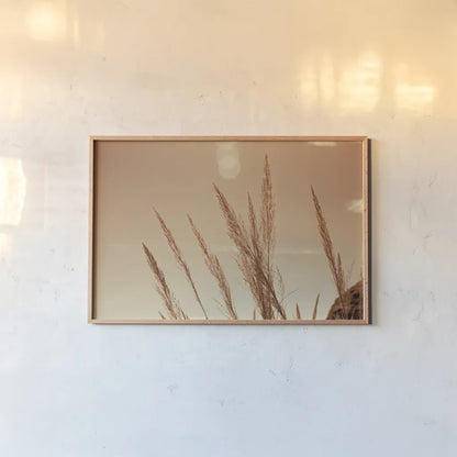 Lakeside Grasses VI by Nathan Larson. shown as a paper print in a natural frame. Available as a archival giclee rolled canvas, fine art paper, or poster print. SKU 76213i.