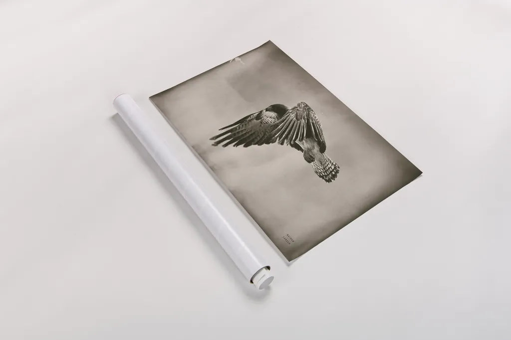 Landing Home by Nathan Larson. shown as a rolled paper print. Available as archival giclee rolled canvas, fine art paper, or poster print. SKU 87104i.