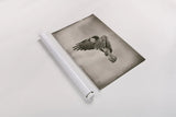 Landing Home by Nathan Larson. shown as a rolled paper print. Available as archival giclee rolled canvas, fine art paper, or poster print. SKU 87104i.