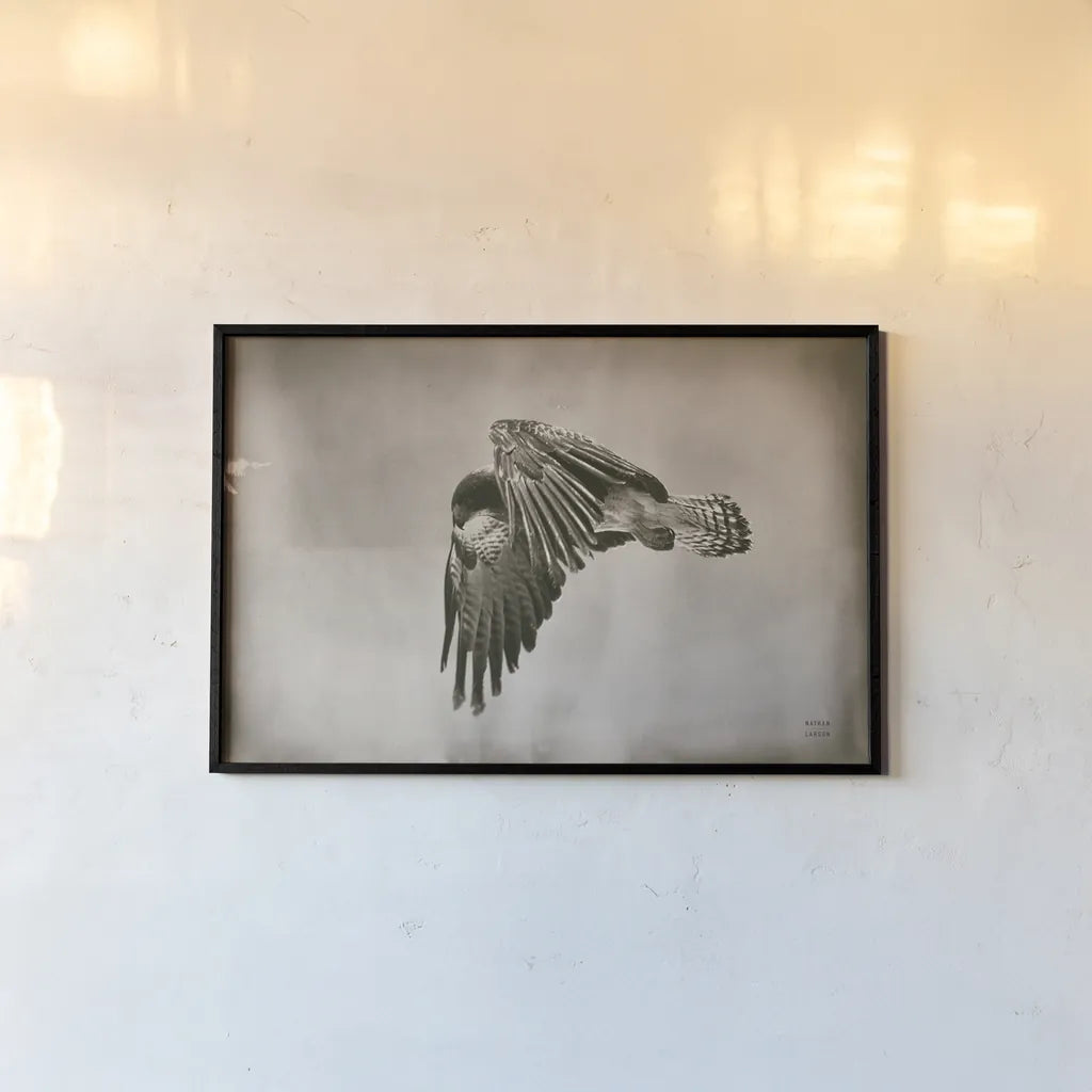Landing Home by Nathan Larson. shown as a paper print in a black flame. Available as a archival giclee rolled canvas, fine art paper, or poster print. SKU 87104i.
