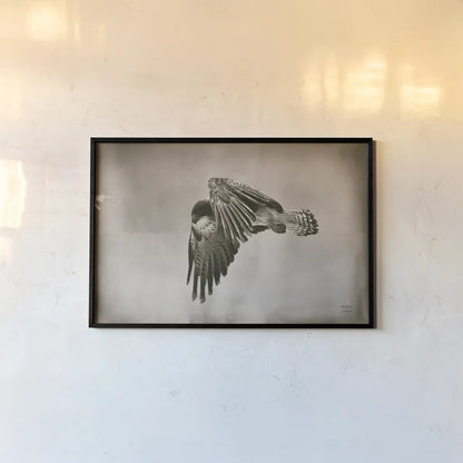 Landing Home by Nathan Larson. shown as a paper print in a black flame. Available as a archival giclee rolled canvas, fine art paper, or poster print. SKU 87104i.