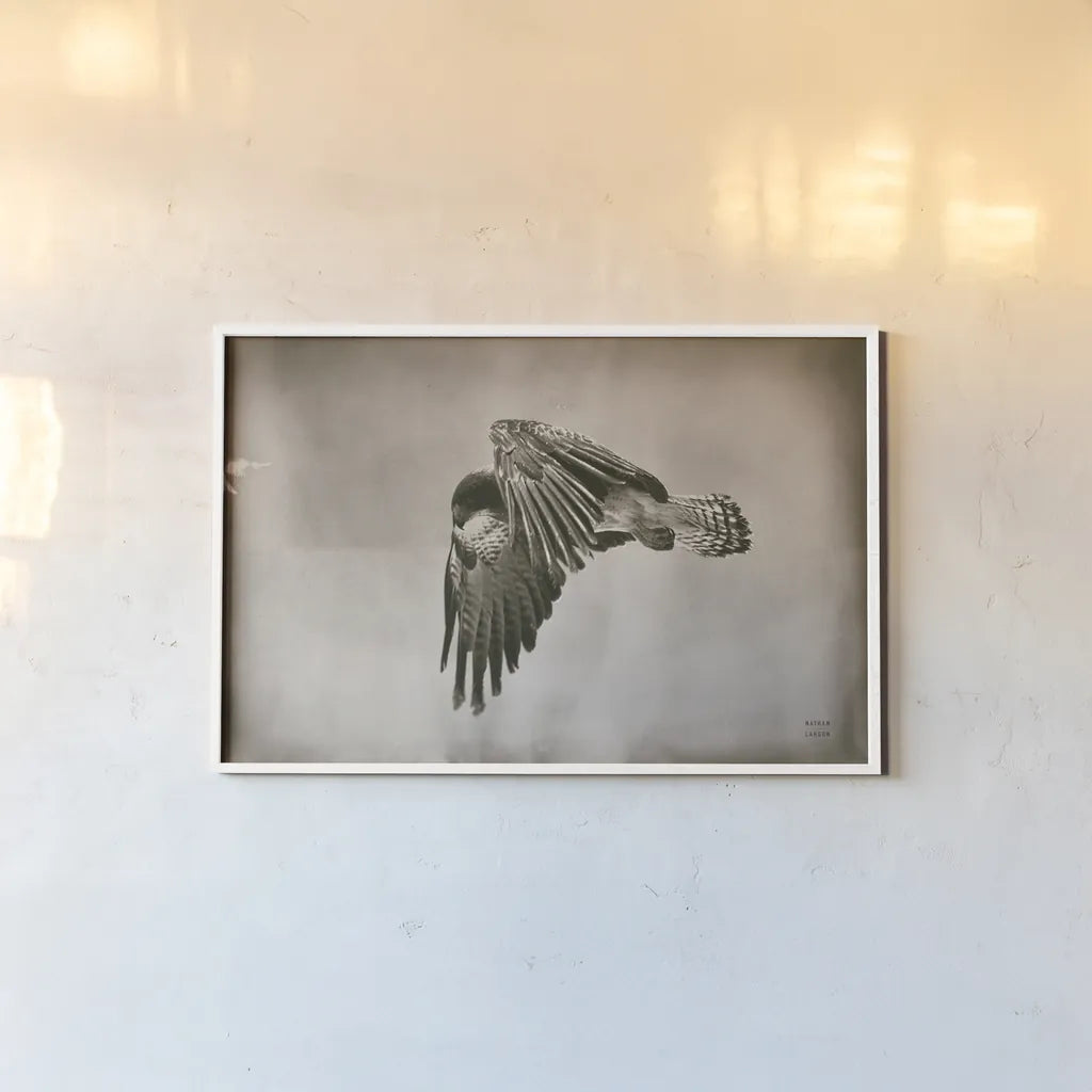 Landing Home by Nathan Larson. shown as a paper print in a white frame. Available as a archival giclee rolled canvas, fine art paper, or poster print. SKU 87104i.