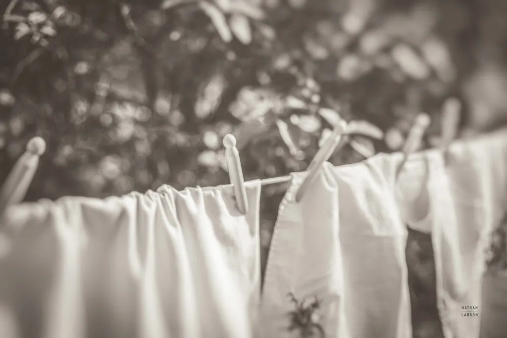 Laundry Day I Neutral by Nathan Larson. SKU 99411i. Archival Giclee Fine art print for wall decor.