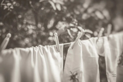 Laundry Day I Neutral by Nathan Larson. SKU 99411i. Archival Giclee Fine art print for wall decor.