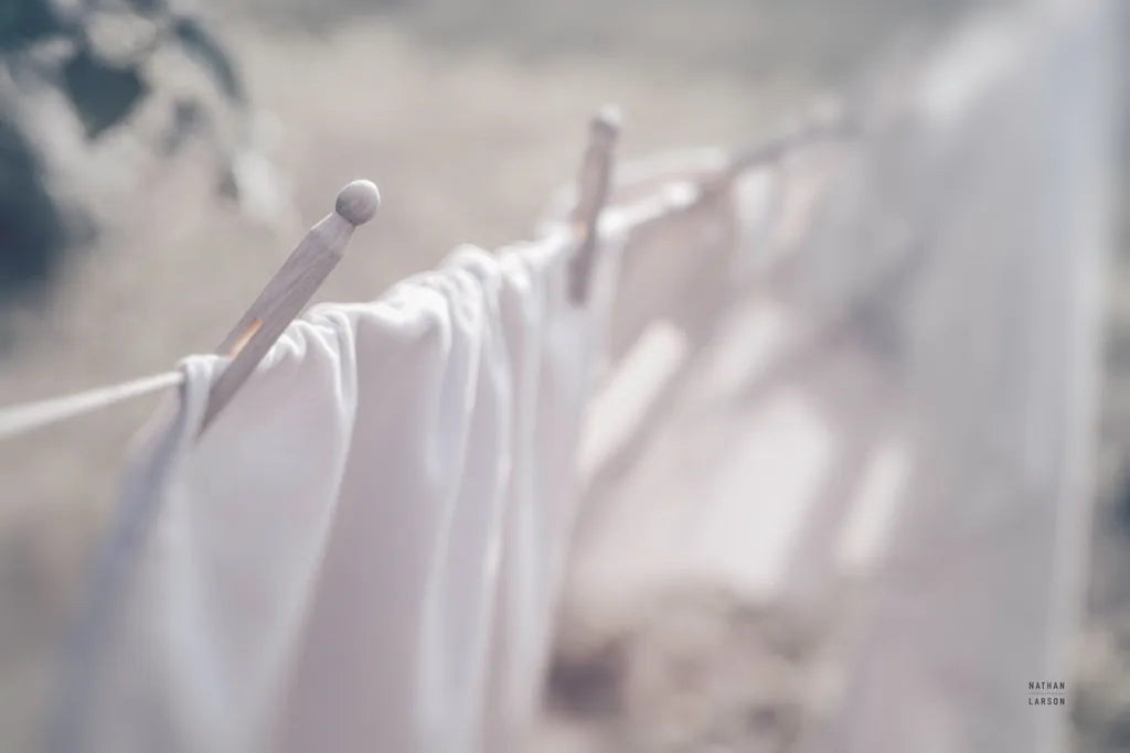 Laundry Day II by Nathan Larson. SKU 99408i. Archival Giclee Fine art print for wall decor.