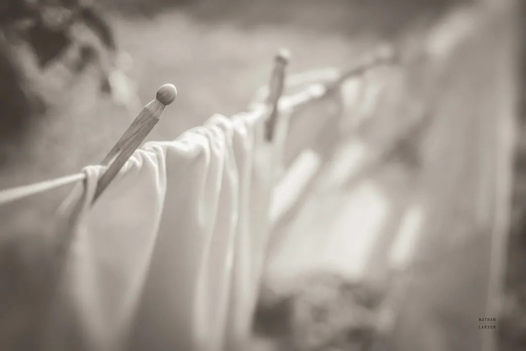 Laundry Day II Neutral by Nathan Larson. SKU 99412i. Archival Giclee Fine art print for wall decor.