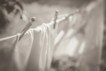 Laundry Day II Neutral by Nathan Larson. SKU 99412i. Archival Giclee Fine art print for wall decor.