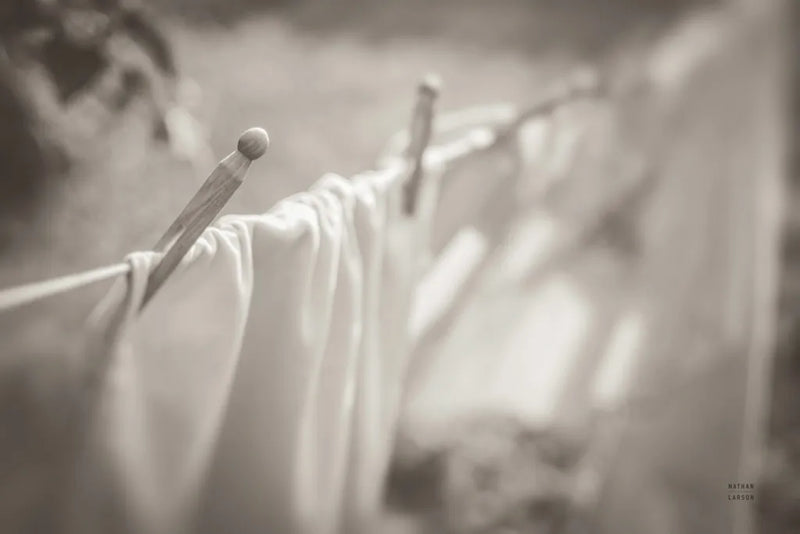 Laundry Day II Neutral by Nathan Larson. SKU 99412i. Archival Giclee Fine art print for wall decor.