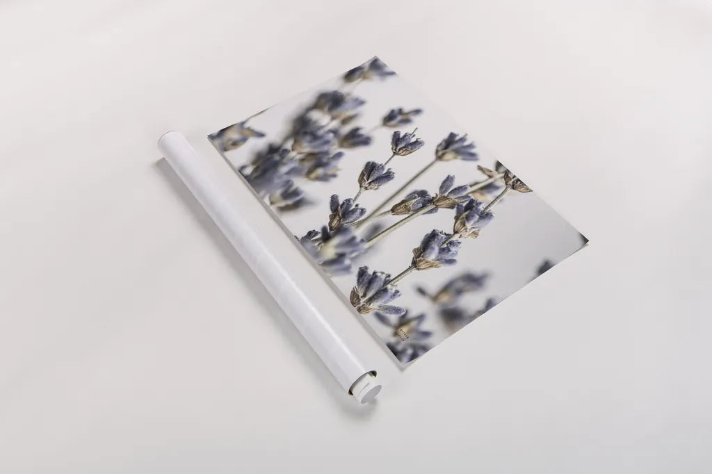 Lavender Bouquet by Nathan Larson. shown as a rolled paper print. Available as archival giclee rolled canvas, fine art paper, or poster print. SKU 77007i.