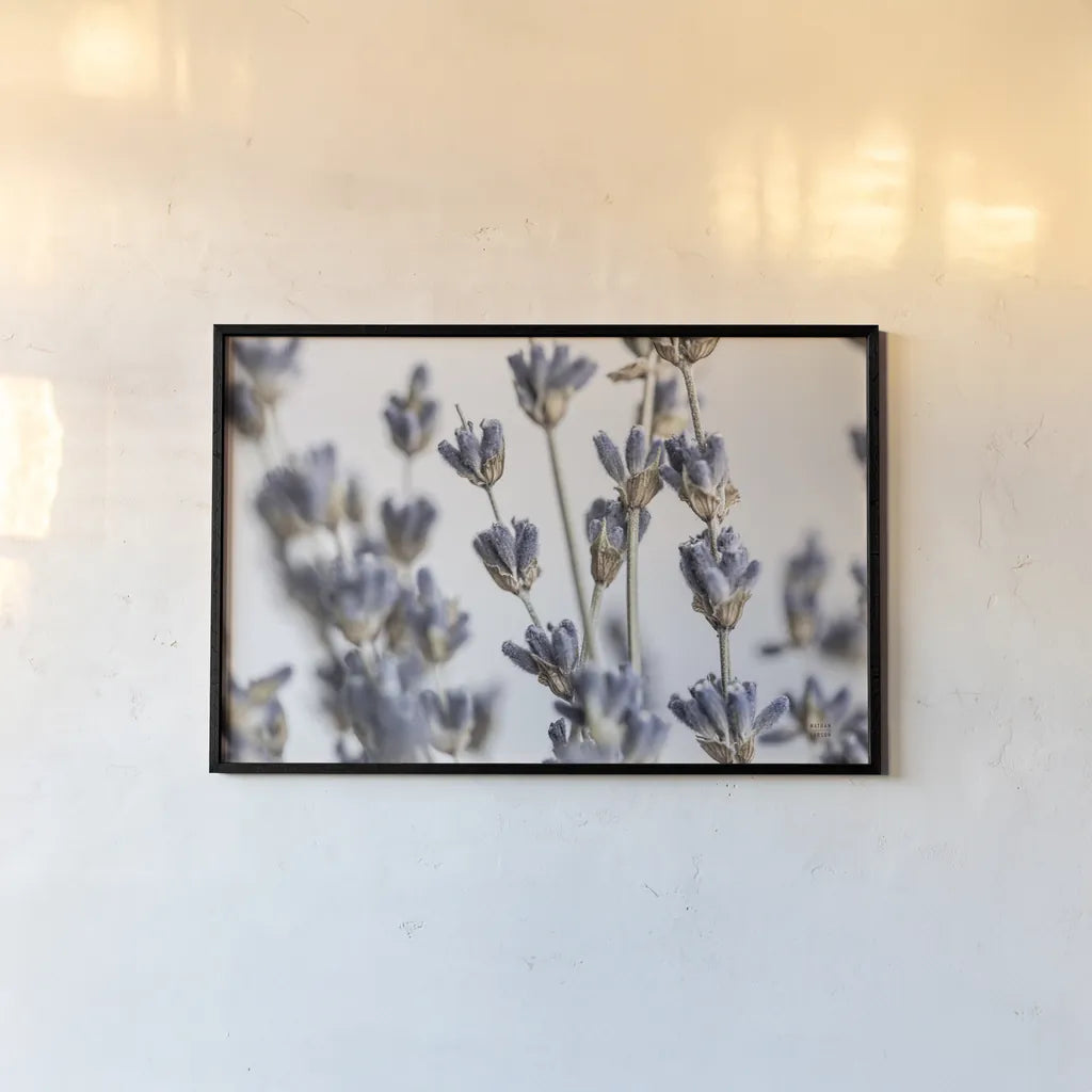 Lavender Bouquet by Nathan Larson. shown as a paper print in a black flame. Available as a archival giclee rolled canvas, fine art paper, or poster print. SKU 77007i.