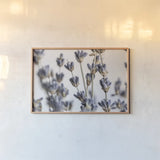 Lavender Bouquet by Nathan Larson. shown as a paper print in a natural frame. Available as a archival giclee rolled canvas, fine art paper, or poster print. SKU 77007i.