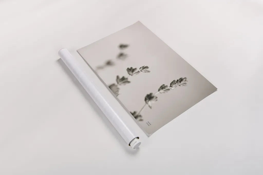 Lavender Study by Nathan Larson. shown as a rolled paper print. Available as archival giclee rolled canvas, fine art paper, or poster print. SKU 76847i.