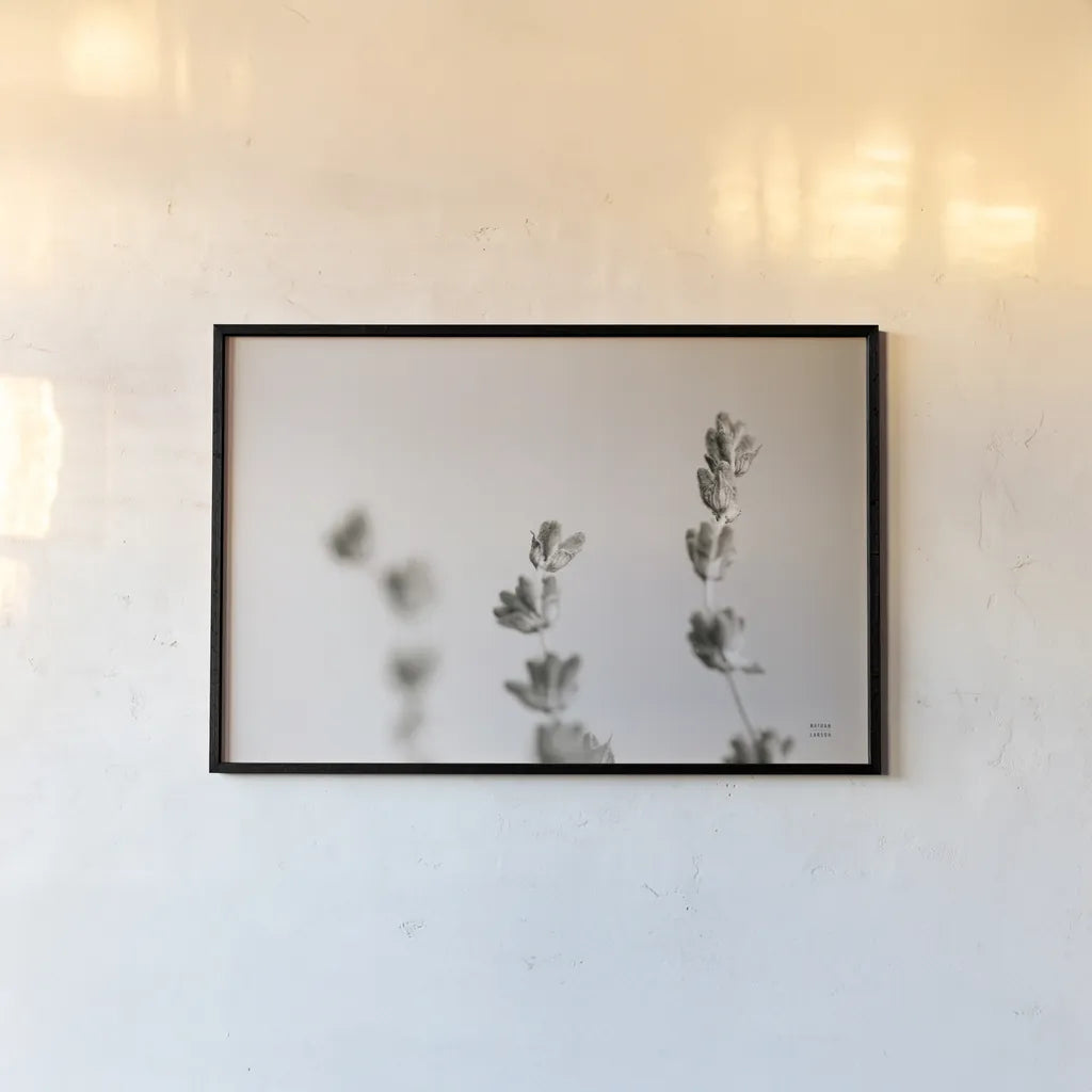 Lavender Study by Nathan Larson. shown as a paper print in a black flame. Available as a archival giclee rolled canvas, fine art paper, or poster print. SKU 76847i.