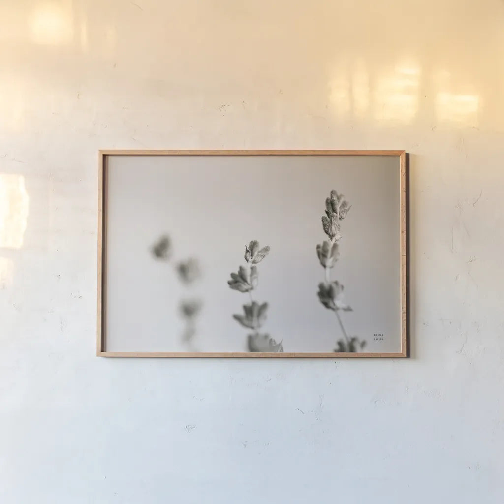 Lavender Study by Nathan Larson. shown as a paper print in a natural frame. Available as a archival giclee rolled canvas, fine art paper, or poster print. SKU 76847i.