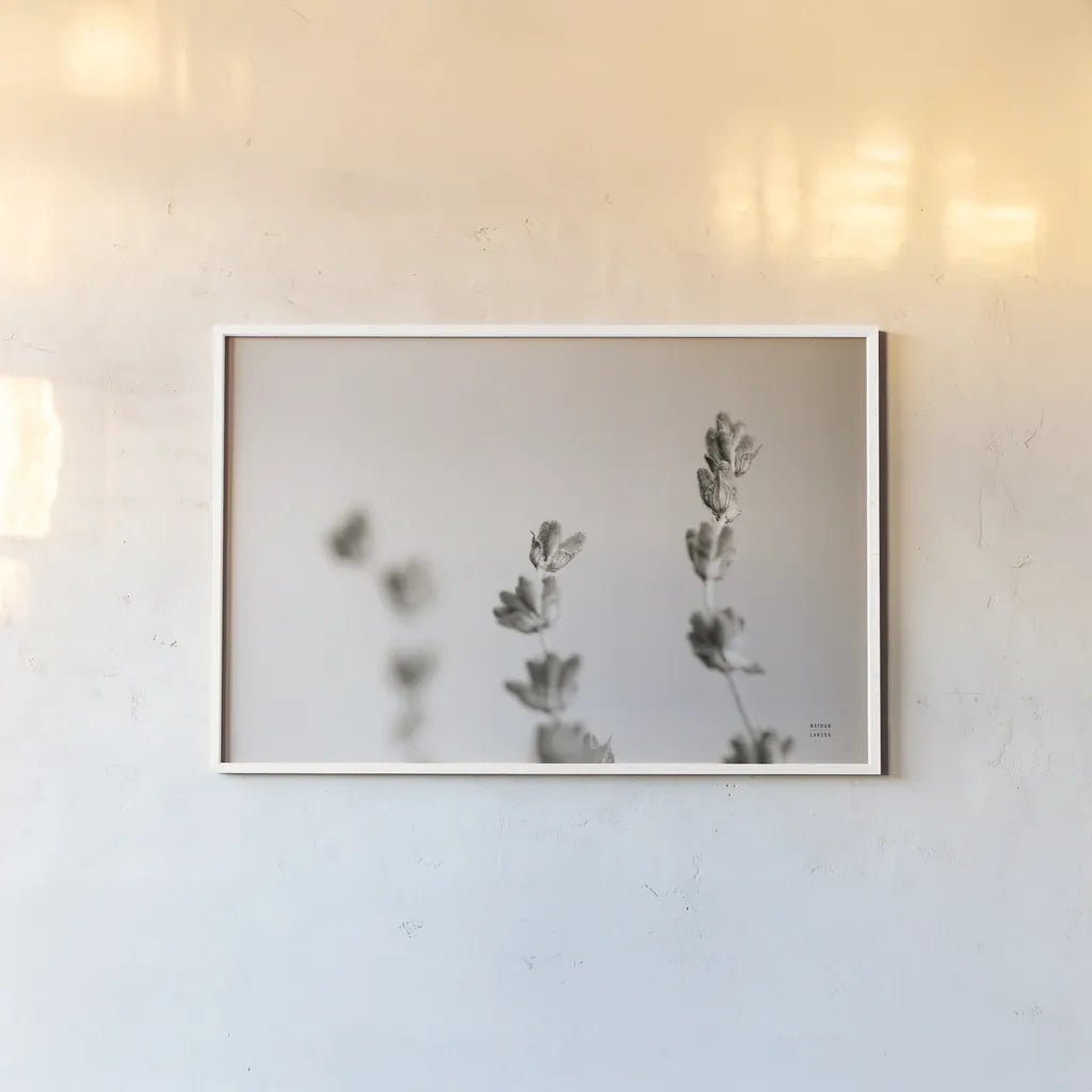 Lavender Study by Nathan Larson. shown as a paper print in a white frame. Available as a archival giclee rolled canvas, fine art paper, or poster print. SKU 76847i.