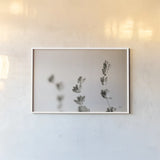 Lavender Study by Nathan Larson. shown as a paper print in a white frame. Available as a archival giclee rolled canvas, fine art paper, or poster print. SKU 76847i.