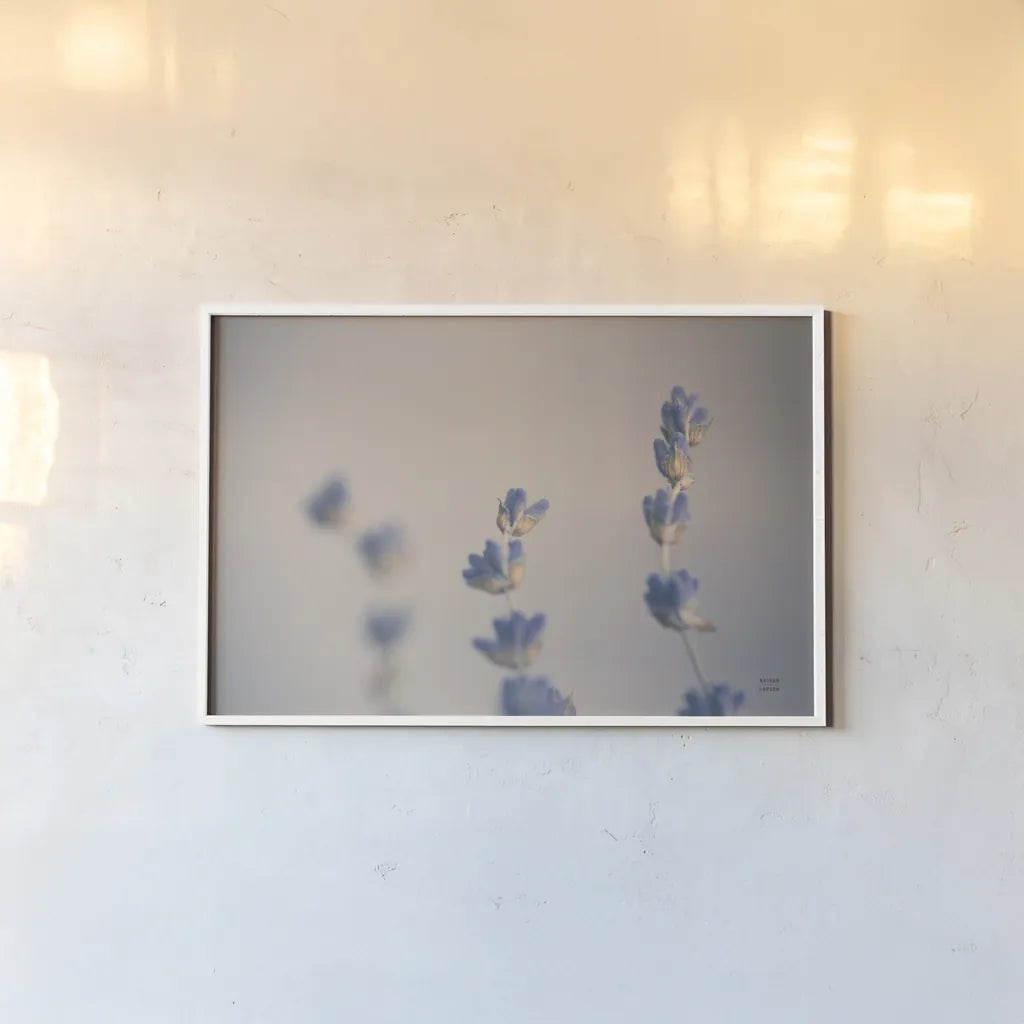 Lavender Study Color by Nathan Larson. shown as a paper print in a white frame. Available as a archival giclee rolled canvas, fine art paper, or poster print. SKU 77005i.
