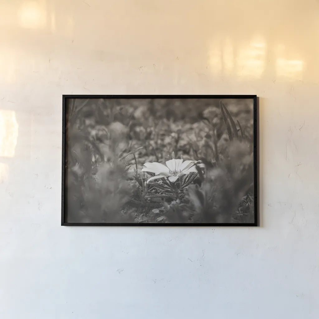 Laying Down on the Desert Floor by Nathan Larson. shown as a paper print in a black flame. Available as a archival giclee rolled canvas, fine art paper, or poster print. SKU 93988i.