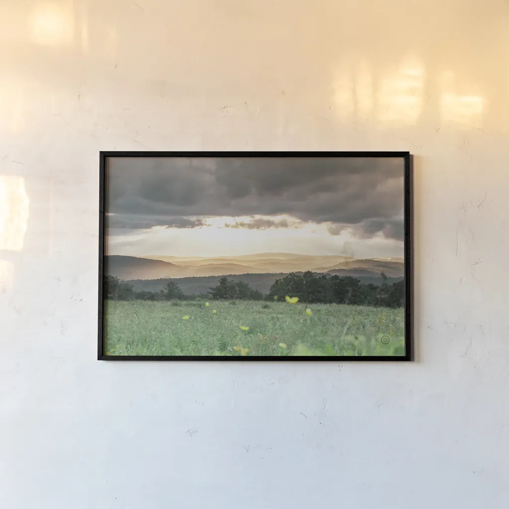 Laying in the Flowers by Nathan Larson. shown as a paper print in a black flame. Available as a archival giclee rolled canvas, fine art paper, or poster print. SKU 71622i.