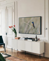 Lazuli Bunting by Nathan Larson. shown as a framed stretched canvas in a living room above a console. Available as a archival giclee rolled canvas, fine art paper, or poster print. SKU 92573i.