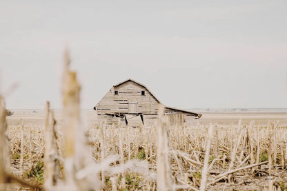 Leaning Barn Field I by Nathan Larson. SKU 86060i. Archival Giclee Fine art print for wall decor.