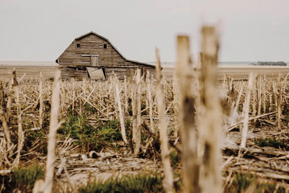 Leaning Barn Field II by Nathan Larson. SKU 86061i. Archival Giclee Fine art print for wall decor.