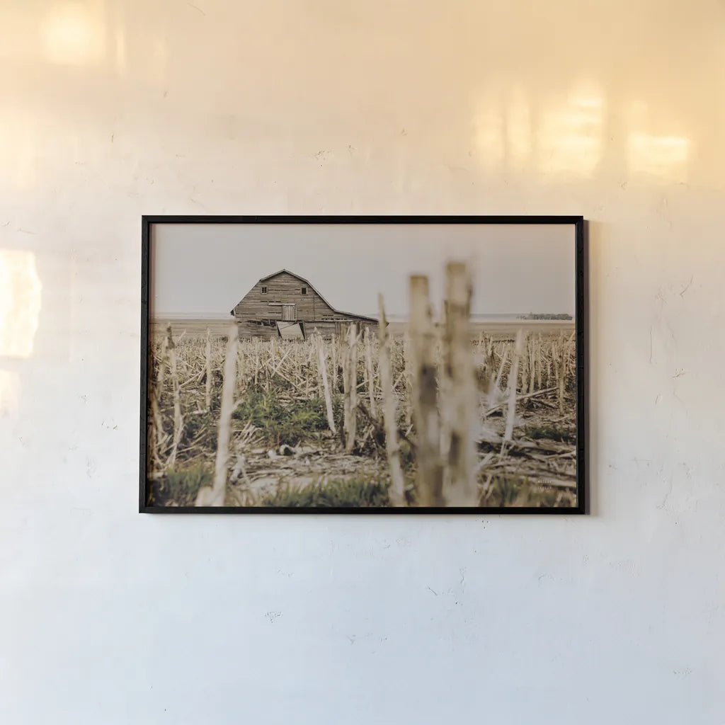 Leaning Barn Field II by Nathan Larson. shown as a paper print in a black flame. Available as a archival giclee rolled canvas, fine art paper, or poster print. SKU 86061i.