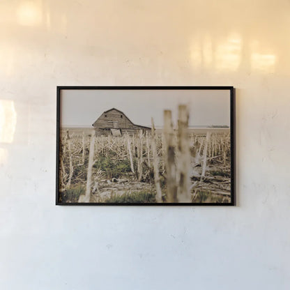 Leaning Barn Field II by Nathan Larson. shown as a paper print in a black flame. Available as a archival giclee rolled canvas, fine art paper, or poster print. SKU 86061i.