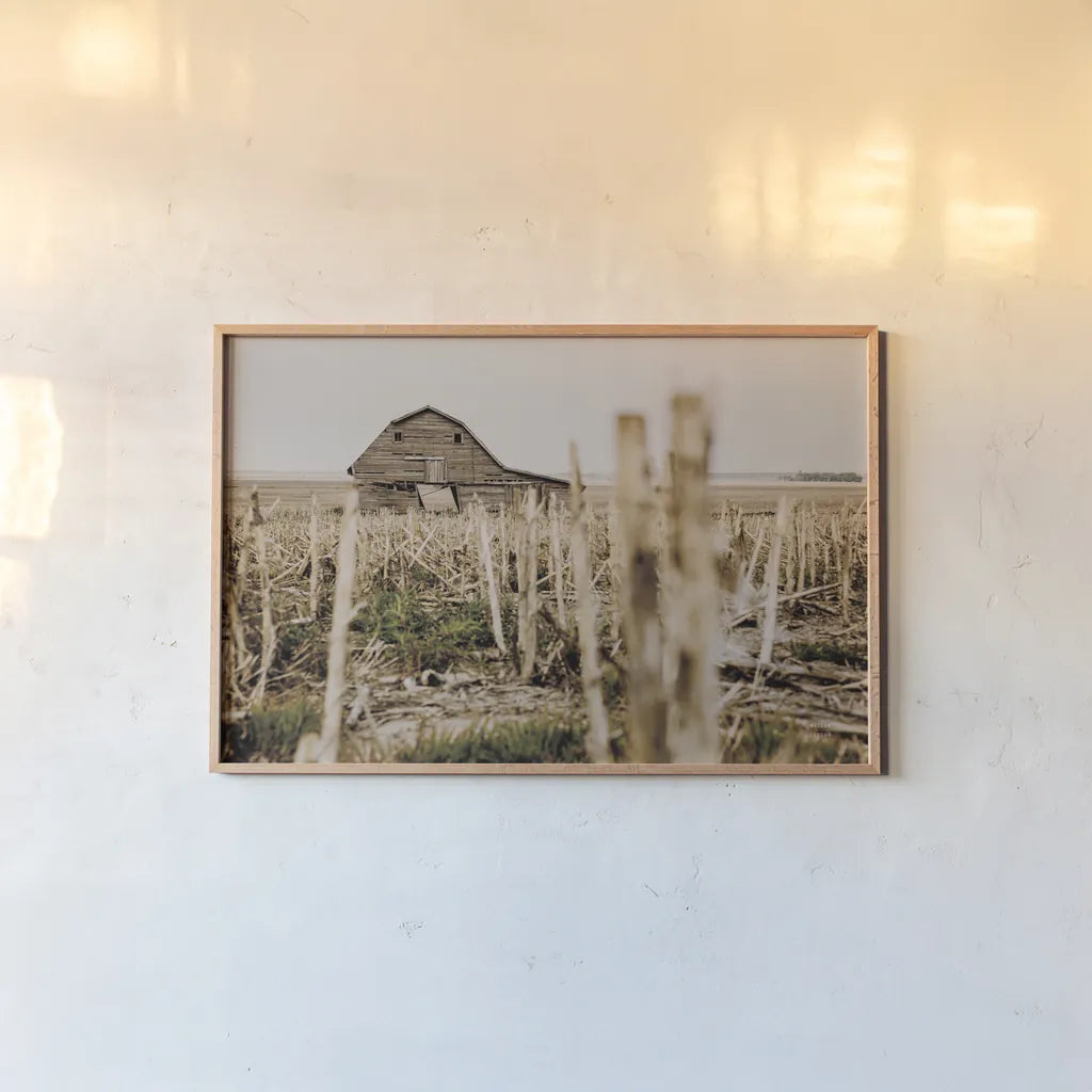 Leaning Barn Field II by Nathan Larson. shown as a paper print in a natural frame. Available as a archival giclee rolled canvas, fine art paper, or poster print. SKU 86061i.