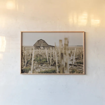 Leaning Barn Field II by Nathan Larson. shown as a paper print in a natural frame. Available as a archival giclee rolled canvas, fine art paper, or poster print. SKU 86061i.