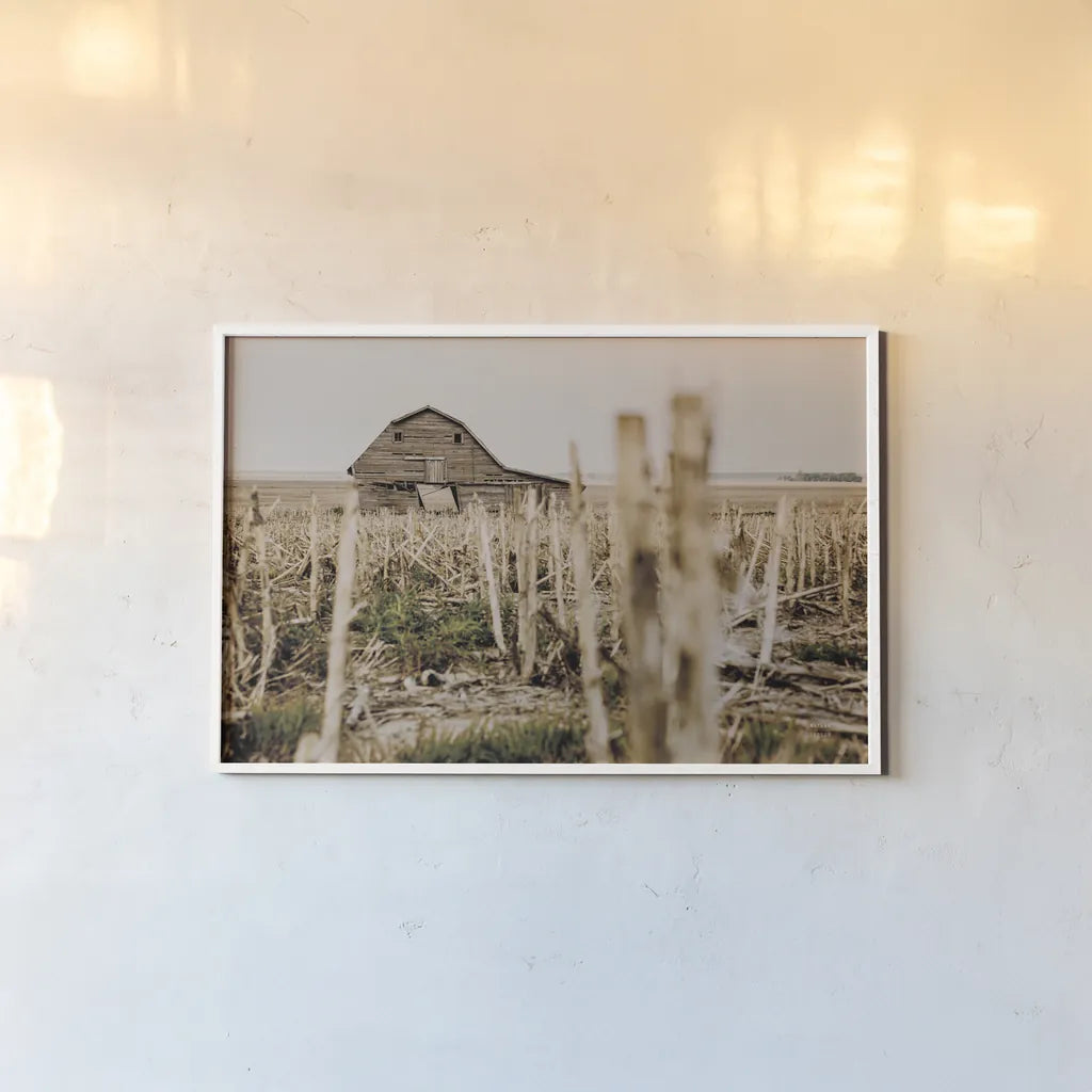 Leaning Barn Field II by Nathan Larson. shown as a paper print in a white frame. Available as a archival giclee rolled canvas, fine art paper, or poster print. SKU 86061i.